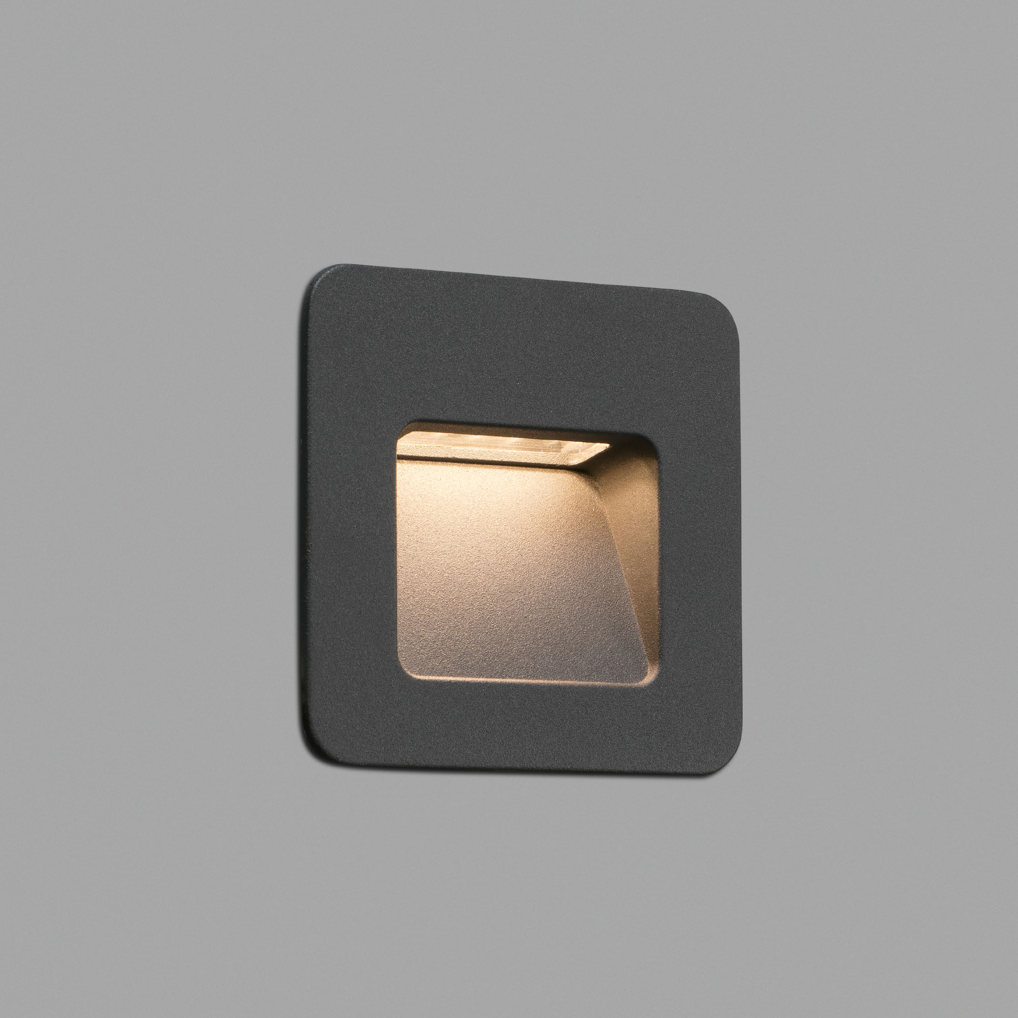 NASE SQ - Image 2