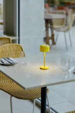 MAVIS 200 PORTABLE 2W