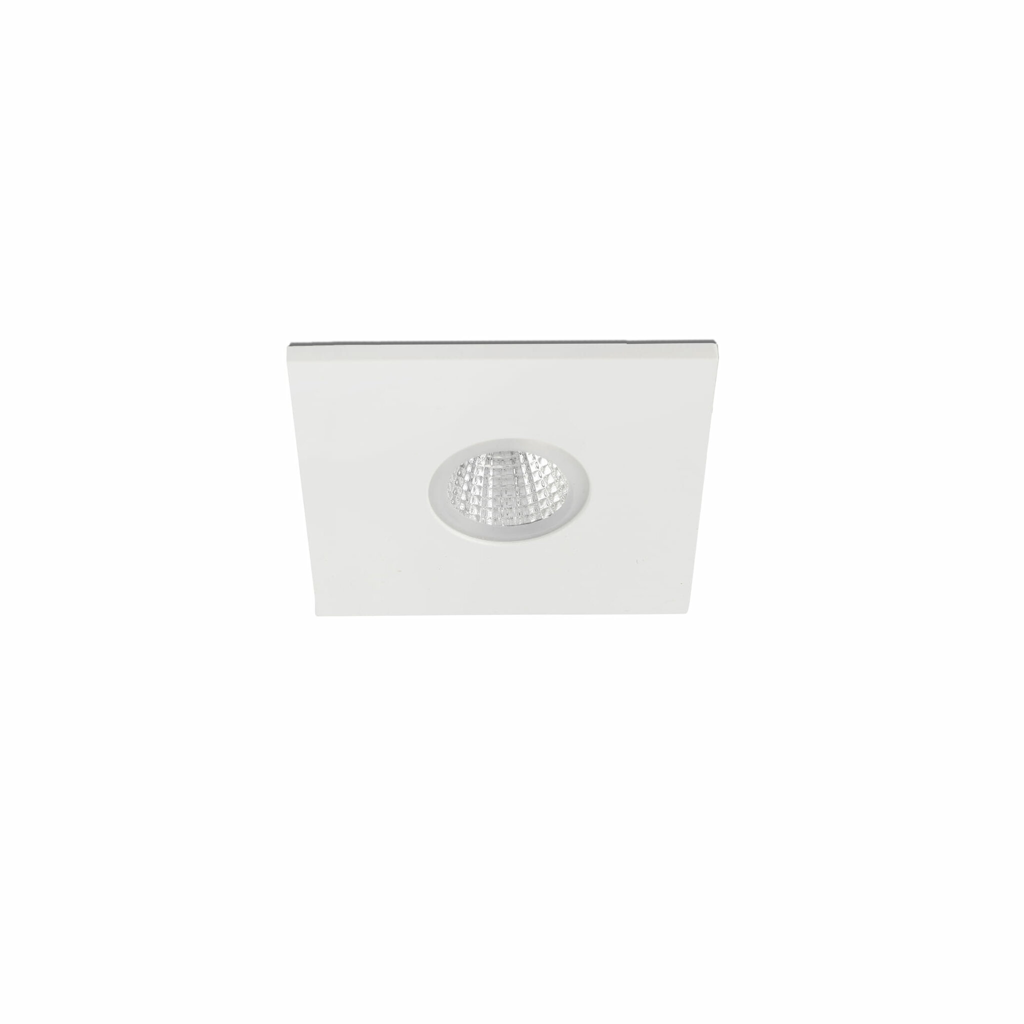 TAST SQ - Image 1