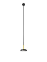 RAFAELA Pendant - Image 2