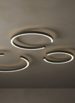 ROBERTA 50 - Image 3
