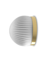 ROI simple - Image 2