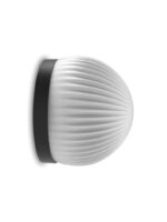 ROI simple - Image 4