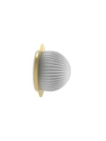 ROI disc - Image 6